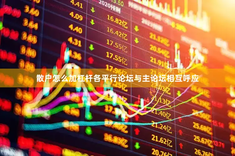 散户怎么加杠杆各平行论坛与主论坛相互呼应