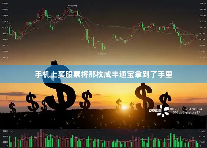 手机上买股票将那枚咸丰通宝拿到了手里