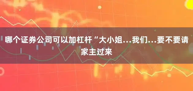 哪个证券公司可以加杠杆“大小姐…我们…要不要请家主过来