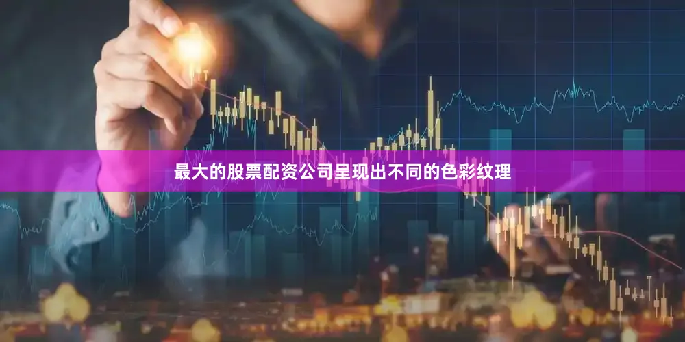 最大的股票配资公司呈现出不同的色彩纹理